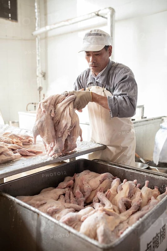 Production of salted ducks factory Nan Jing Ying Tao Yo Co. Ltd., for consumption in restaurants but also for sale as durable products as souvenirs, the frozen ducks come from the duck farms, are salted, brined, dried and scalded, Nanjing, China