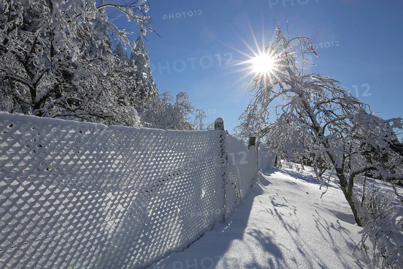 Winter landscape with snow and chain link fence against light, branches in winter, sunbeams, snowy landscape, Kleiner Feldberg, Schmitten, Taunus, Hesse, Germany