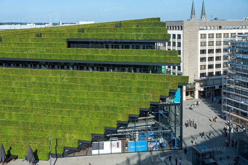 Green façade, made of over 30, 000 hornbeams, a good 8 kilometers long hedge, on the roof and the façade of the Kö-Bogen-2 house form the largest green façade in Europe, the plants prevent the façade from heating up and cool the environment by evaporating moisture, through the plants, improving the microclimate in summer, Schadowstraße, Düsseldorf, North Rhine-Westphalia, Germany