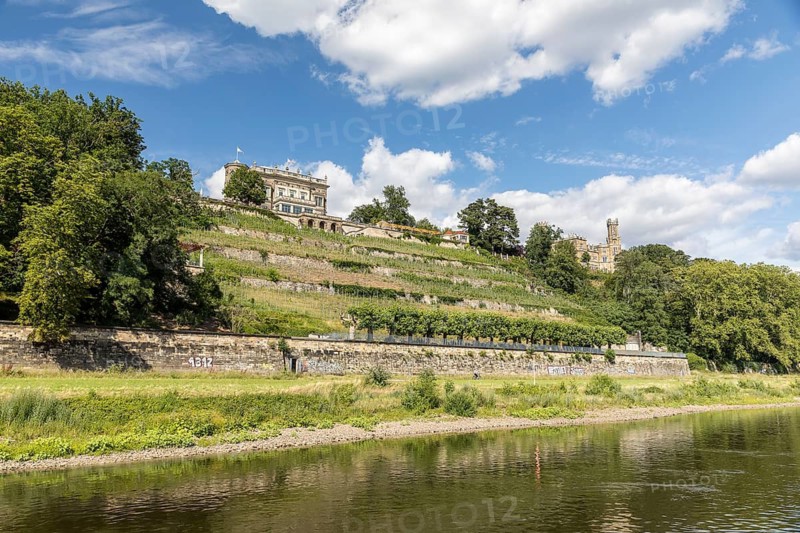 On the Elbe in Dresden with the historic paddle steamer LEIPZIG of Saxon Steamship, here at the Elbe Castles Lingerschloss with Vineyard and Eckberg Castle, Dresden, Saxony, Germany