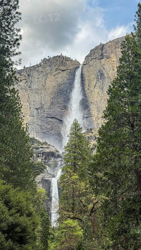 Yosemite falls showcasing its powerful flow descending over towering granite cliffs, framed by lush green trees, highlighting the stunning beauty of this iconic natural landmark in california