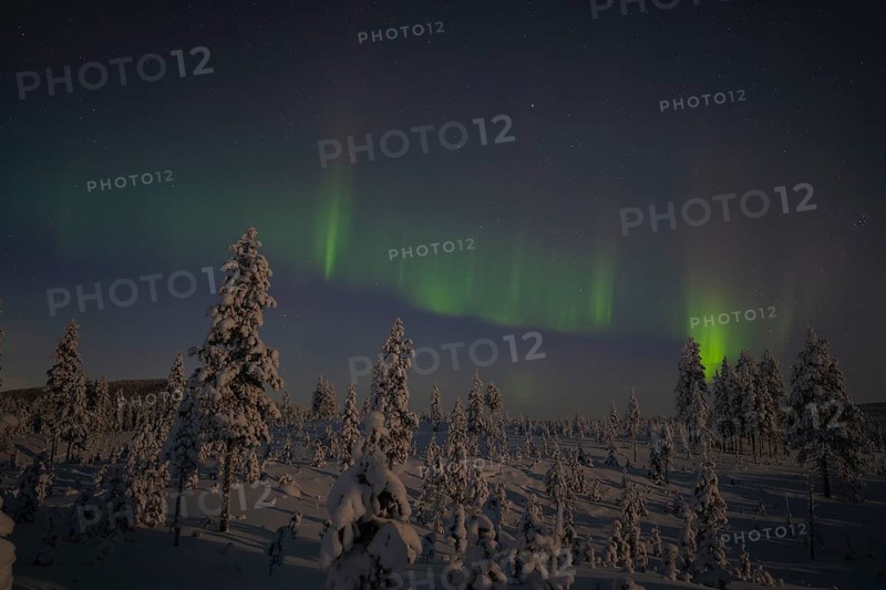 Northern Lights (Aurora borealis) over moonlit winter landscape, Nattavaara, Norrbotten, Lapland, Sweden, November 2023