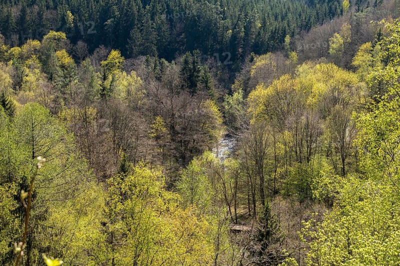 Germany, Greiz, Göltzschtal, Thuringia, Thuringia, spring, Köhlersteig, landscape, spring, Vogtland