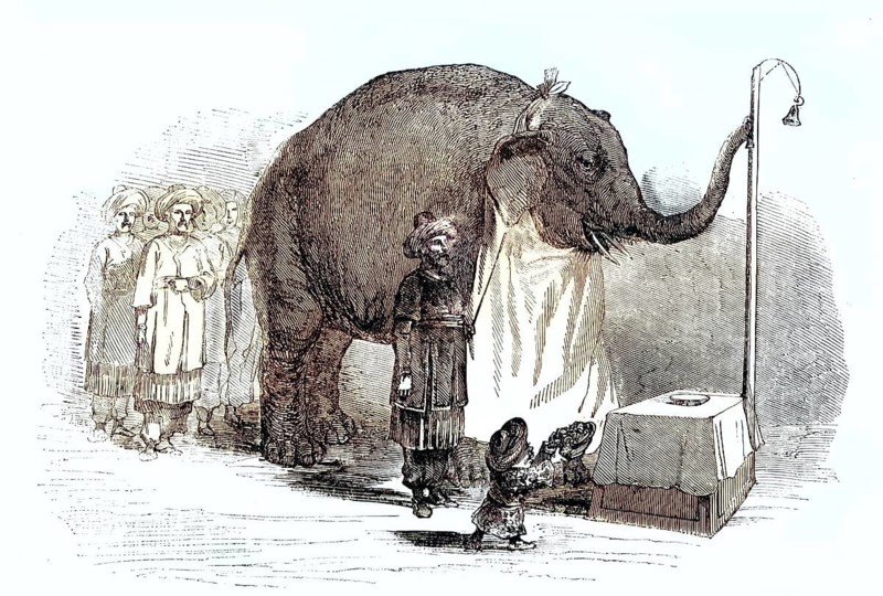 Illustration shows the famous Asian elephant Chunee at a demonstration in the early 19th century. Every evening at nine o'clock, Chunee rang a hanging bell with his trunk to ring in the feeding time of the menagerie animals, illustration, reproduction from a 19th original authentic, file restored for optimal use, exact date of original unknown, historical, colored