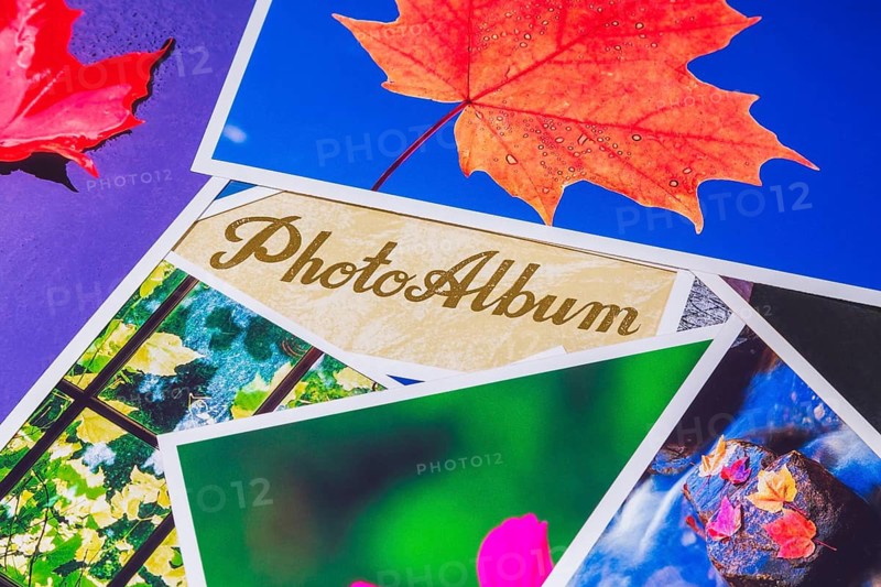 Close-up of bright and vivid color nature photos on top of light tan and golden brown souvenir photo album, Studio Composition, Quebec, Canada