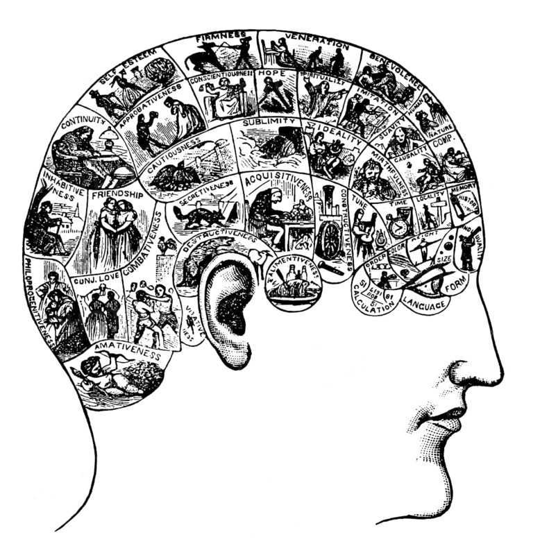Phrenological Chart, head with mental and moral faculties, 19th century