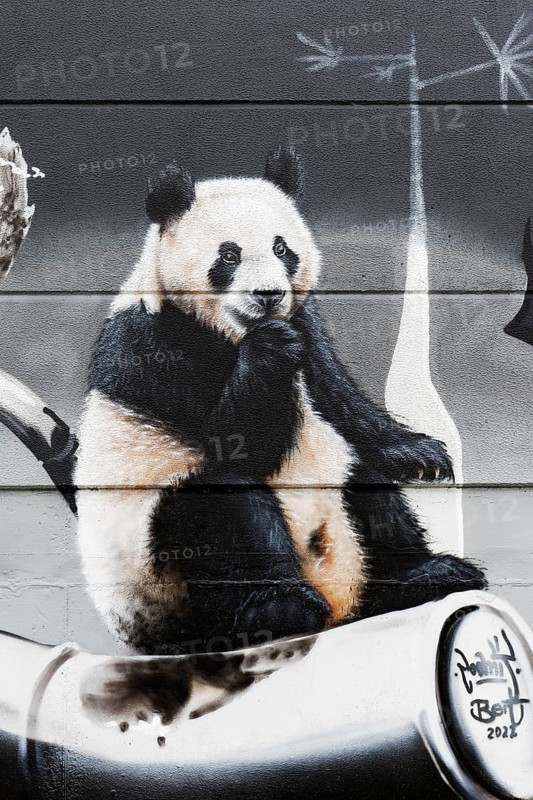 Happy panda bear sitting on bamboo, graffiti, Duisburg, North Rhine-Westphalia, Germany