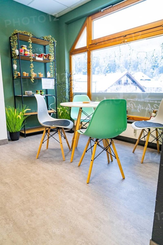 Inviting café interior with plants and modern furnishings, Tante M, self-service shop, Enzklösterle, Calw district, Black Forest, Germany