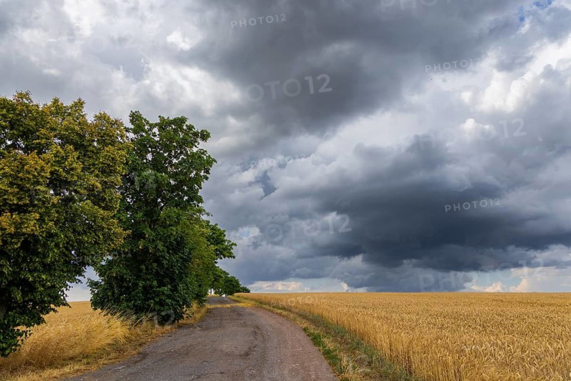 Rain clouds near Börnche in the Ore Mountains, Börnchen, Saxony, Germany