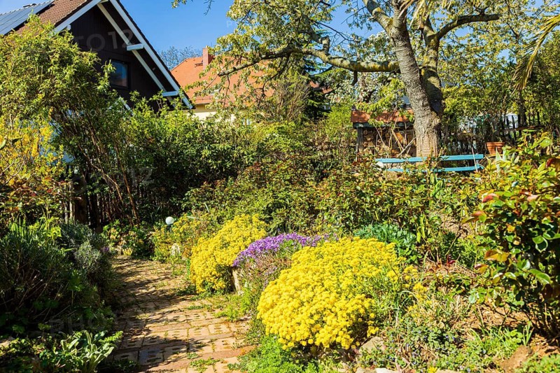 A landscaped natural garden with a house in a nature reserve on the edge of a village, Bannewitz, Saxony, Germany
