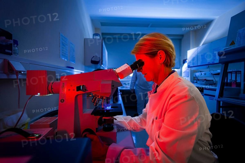 As the state laboratory for Saxony, the LUA plays a very important role in health and consumer protection in Saxony. In the area of official food testing, around 2, 100 samples from production and slaughterhouses were analysed as part of the National Residue Control Plan for veterinary drug residues in 2024. The search was for prohibited, unauthorised and authorised substances in animals. Based on federal, state and EU regulations, the Department of Veterinary Diagnostics supports the authorities responsible for enforcing animal health regulations, state and municipal institutions, as well as courts and special-purpose associations, veterinarians and animal owners. Ursula Reif (63) is LUA Head of Serology. She examines a sample for gonococci under the microscope, Dresden, Saxony, Germany