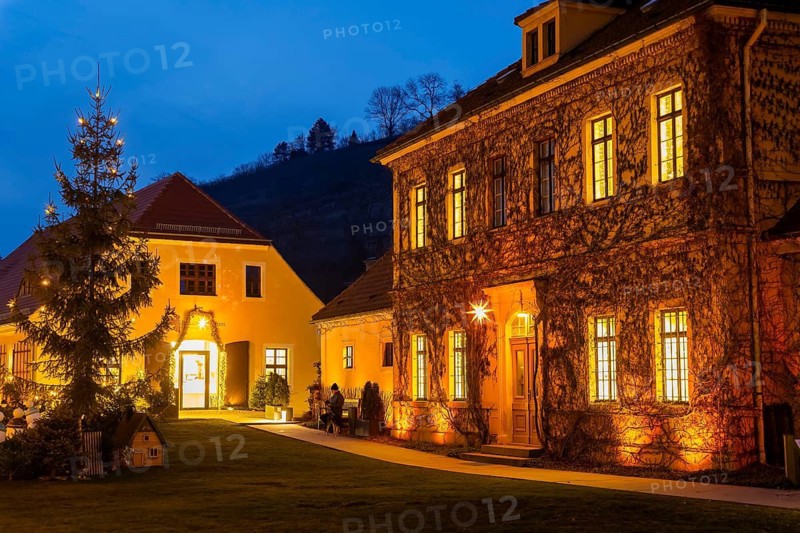 Winter evening at the Hoflößnitz winery, Radebeul, Saxony, Germany