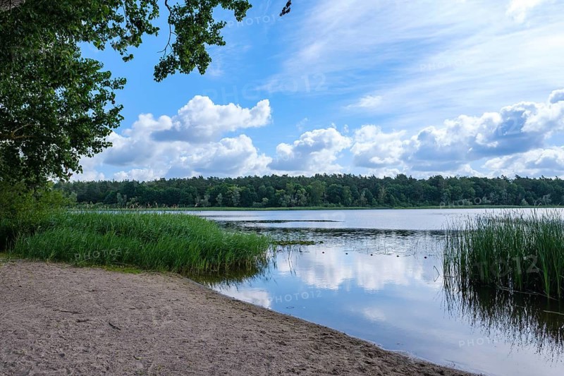 Sandy beach beach with a view of a calm lake and cloudy sky, Nakenstorf, Neuklostersee, Mecklenburg-Vorpommern, Germany