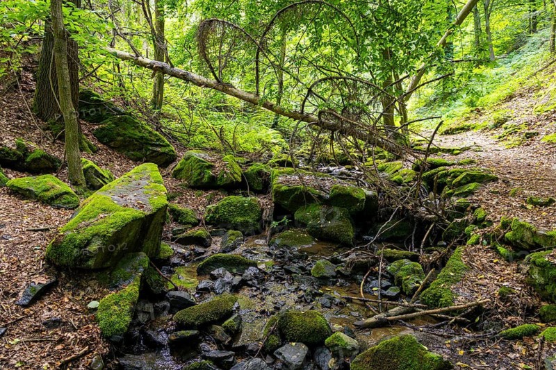The Rabenauer Grund is a notch valley up to 80 metres deep in the Rote Weißeritz in the Eastern Ore Mountains southwest of Rabenau in Saxony. It has been a nature reserve since 1961, Rabenau, Saxony, Germany