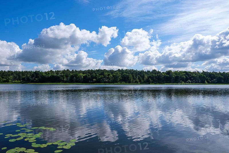 Calm lake with reflection of the clouds in the clear water, Nakenstorf, Neuklostersee, Mecklenburg-Vorpommern, Germany