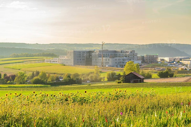 Landscape with flowering field and buildings in the background, at sunset in a rural setting, construction site of a new hospital, Calw, Black Forest, Germany