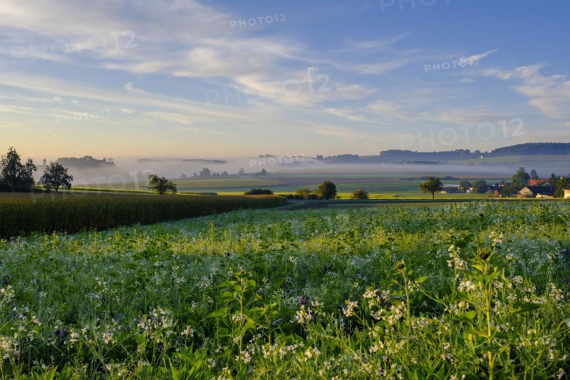 Sunrise with fog, Uigendorf near Unlingen, Swabian Alb, Upper Swabia, Swabia, Baden-Württemberg, Germany