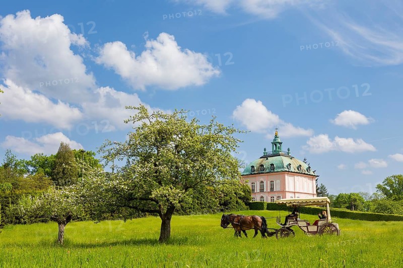Pheasant Castle Moritzburg in Spring