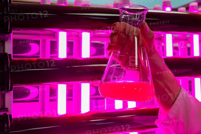 PUEVIT GmbH produces the most efficient photobioreactors for the cultivation of microalgae. The aim is to revolutionise the supply of raw materials through microalgae production. Innovative technological solutions have been developed for the growth and harvesting of spirulina, chlorella and other microalgae, for example, which enable unique efficiency, unprecedented simplicity and maximum stability in what is probably the most compact tube system on the market. Raw, unprocessed spirulina is produced as a fresh, regional food under the ALGENWERK brand. The algae grow in our own facilities and are harvested and freshly packaged directly without any further processing. Leander Seibel in red algae production, commissioning of full production at the Puevit algae plant, Dresden, Saxony, Germany