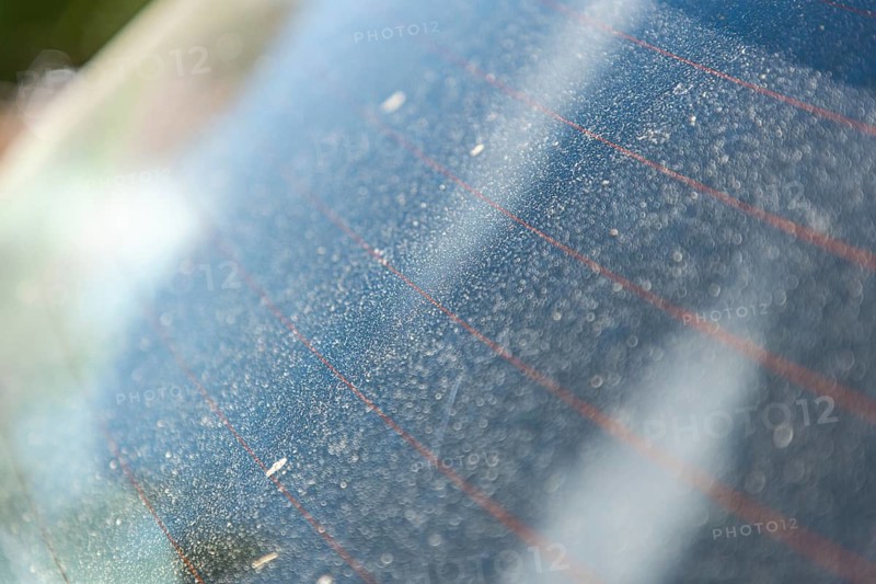 Layer of yellow pollen on a car window