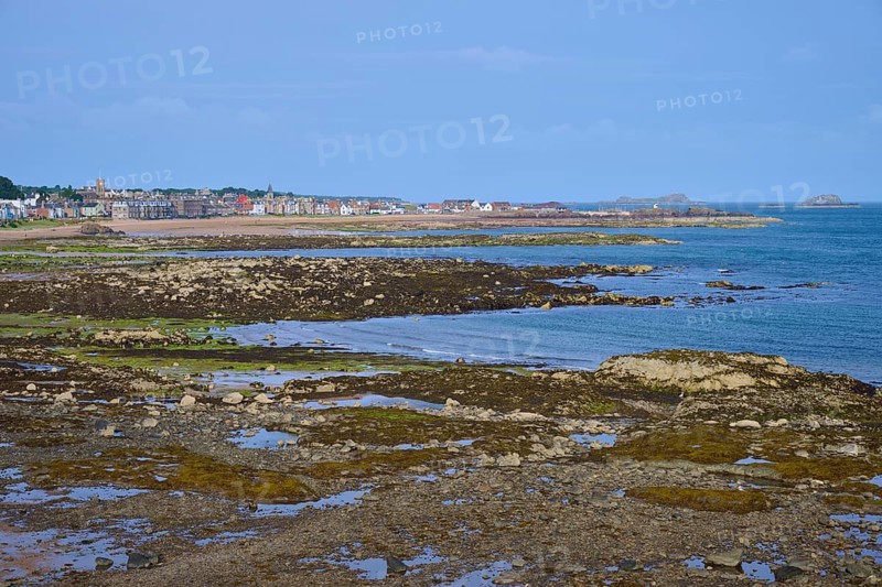 Coastal view with rocks and a city in the background under blue sky, North Berwick, East Lothian, Scotland, United Kingdom, Great Britain