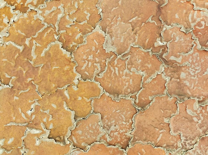 Salt marsh at the Skeleton Coast. Aerial view. Drone shot. Dorob National Park, Namibia