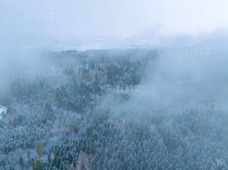 A foggy winter forest from the air with snow-covered trees, Nagold, Black Forest, Germany