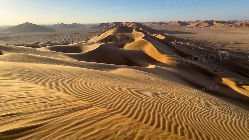 Sand dunes in the Rhub al Khali desert, empty quarter, largest sandy desert in the world, Oman