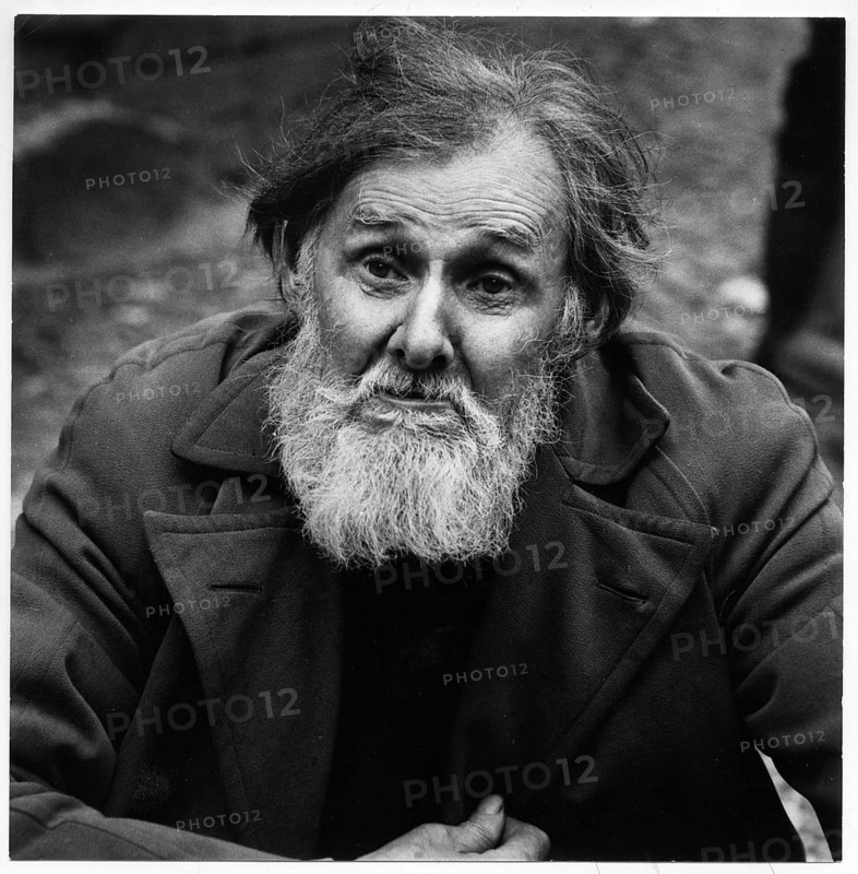 Friedrich Schröder-Sonnenstern, painter, portrait, 1892-1982, Berlin, An elderly man with a beard looks thoughtfully at the camera, Herbert Tobias, 1960