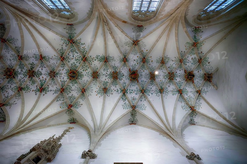 Interior view, ceiling, cross-ribbed vault or star net vault, Blaubeuren Abbey, Swabian Jura, Baden-Württemberg, Germany