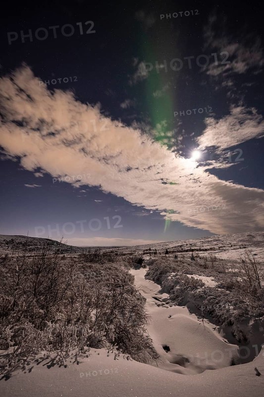 Northern Lights (Aurora borealis) and moonlight, Dundret Nature Reserve, Norrbotten, Lapland, Sweden, November 2022