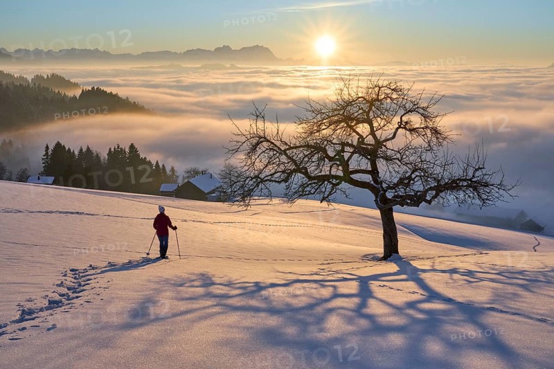 Senior Woman hiking with snow shoes at sunset in the Bregenz Forest mountains, Vorarlberg, Austria