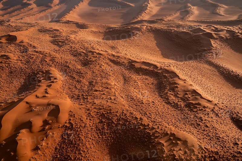 Aerial view, detailed view of a sand dune in the Namib Desert, Namib Naukluft Park, Namibia