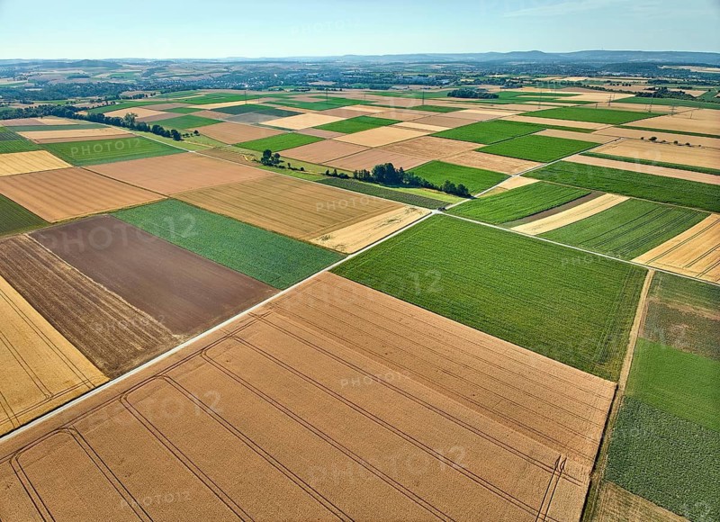Aerial view of geometric grain and corn fields forming a colorful agricultural landscape with fertile farmland and rural patterns in summer. Langes Feld, north of Stuttgart, Baden-Württemberg, Germany