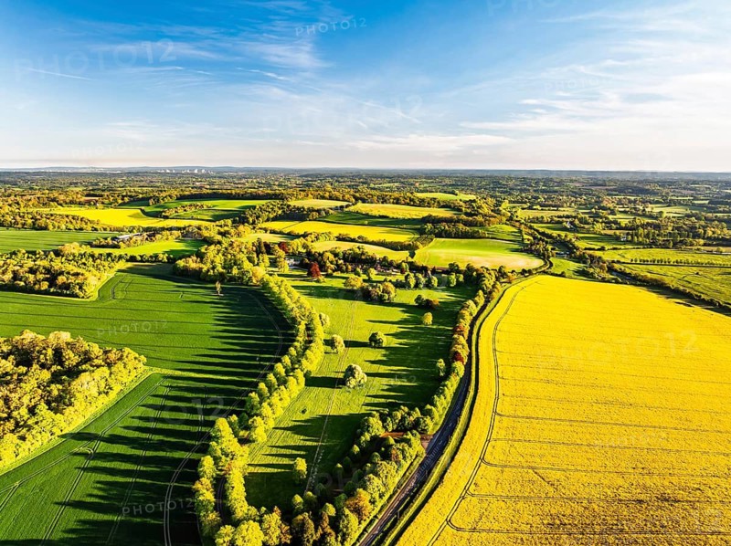 Rapeseed Fields and Farms over Horsebridge nad Stockbridge from a drone, Hampshire, England, United Kingdom