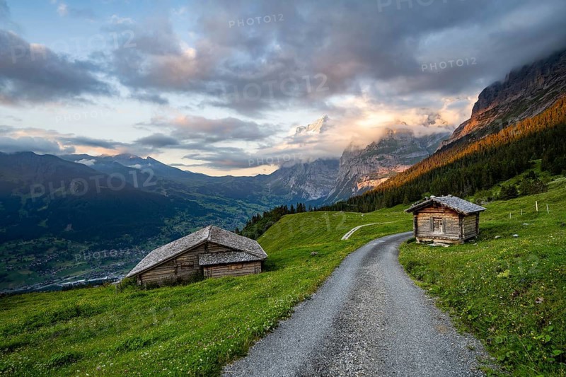 Road, alpine huts and alpine meadows, mountain landscape at sunset, summit of the Wetterhorn in the background, Alpiglen, Grindelwald, Bernese Oberland, Switzerland