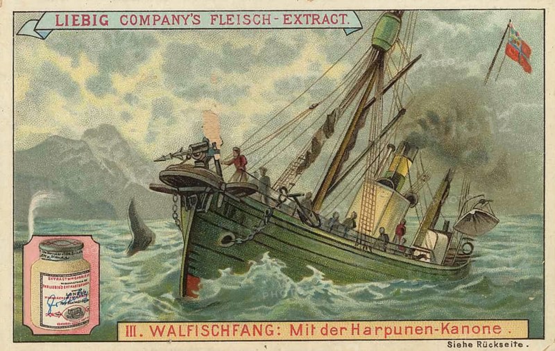 Whaling picture series, whaling ship with a harpoon gun, picture of love, digitally restored reproduction of a collector's painting from around 1900, exact date unknown