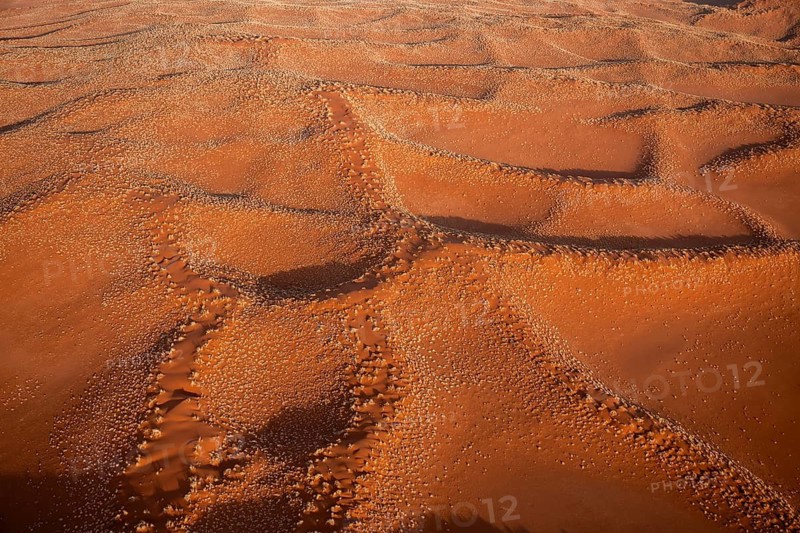 Aerial view, sand dunes with vegetation in the Namib Desert, Namib Naukluft Park, Namibia