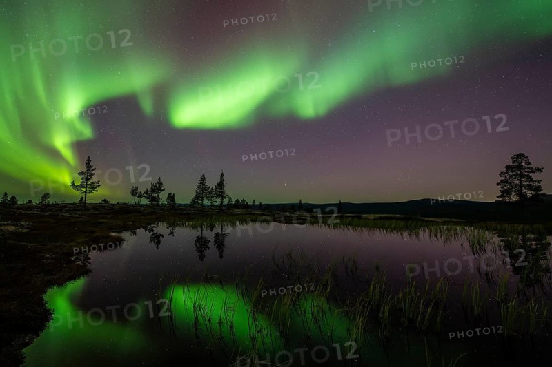 Northern Lights (Aurora borealis) reflected in a mountain lake, Norrbotten, Lapland, Sweden, September 2024