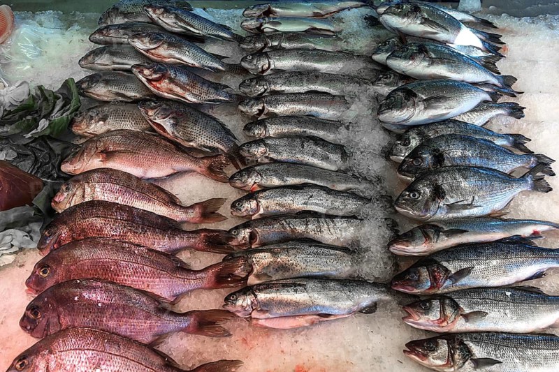 Gilthead seabream (Dorada), sea bream (Sparidae) and sea bass (Dicentrarchus labrax) on ice at the fish market, Enschede, Netherlands