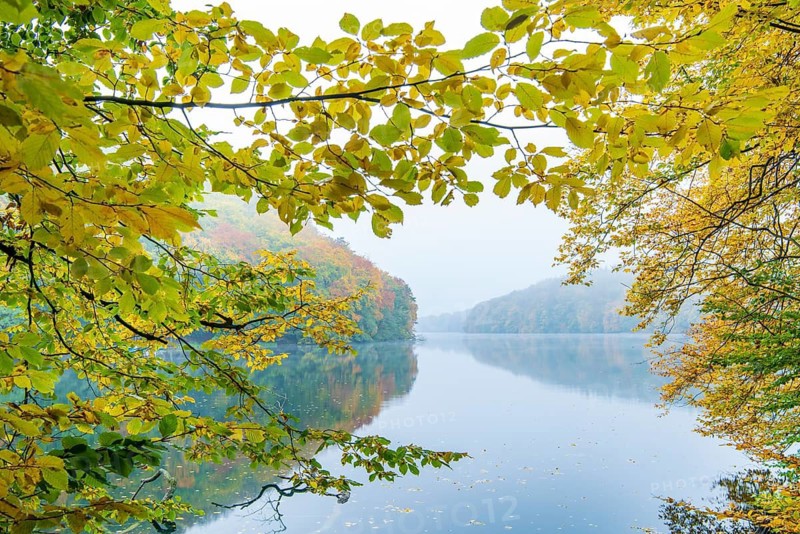 Autumn at Schmale Luzin, lake in Mecklenburg-Western Pomerania, Feldberg Lake District, Mecklenburg-Western Pomerania, Germany