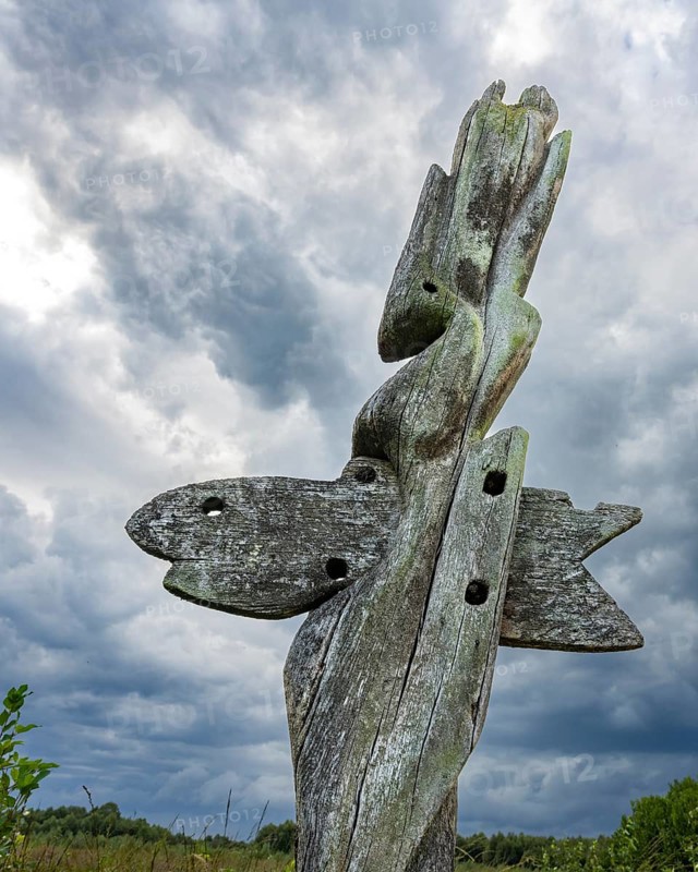 Sculpture at the house in the moor in Goldenstedter Moor, Goldenstedt, Lower Saxony, Germany