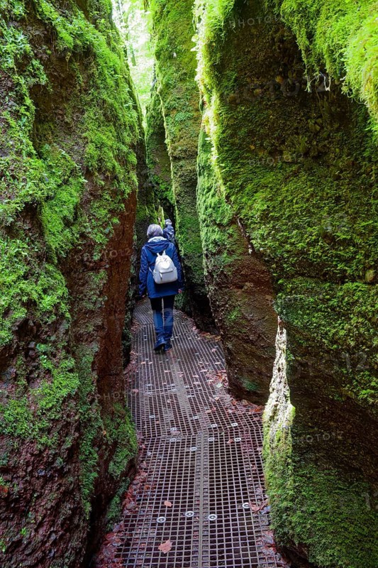 Hiking in the Dragon Gorge, gorge, hiking trail, hiking destination, fascinating, erosion, Eisenach, Thuringian Forest, Thuringia, Germany