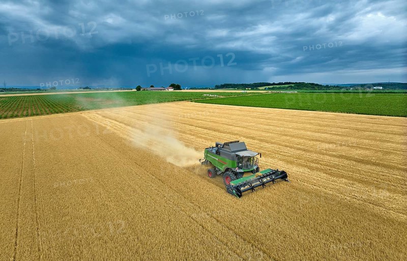 Combine harvester harvesting wheat on a field in the vertile and fruitful of Langes Feld north of Stuttgart, Baden-Württmberg, Germany