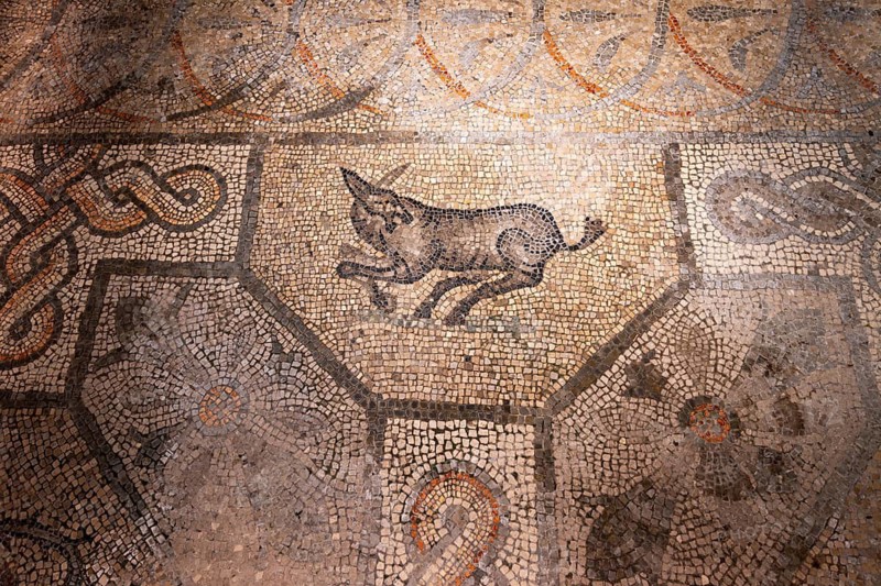 Mosaic with geometric pattern and depiction of animals, North Hall, Basilica di Santa Maria Assunta, Basilica of Aquileia with historic floor mosaic, UNESCO World Heritage Site, Aquileia, Friuli, Italy