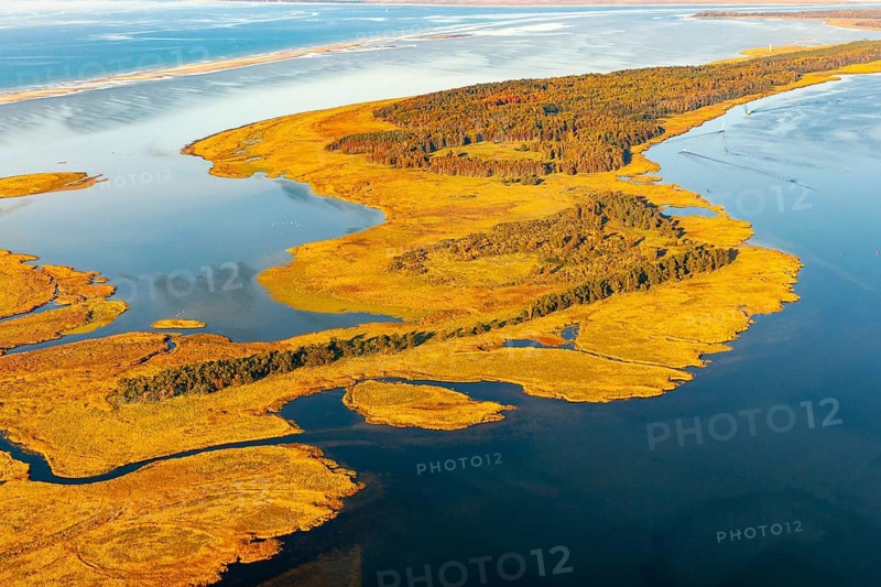 Werder Islands near Zingst in the Western Pomerania Lagoon Area National Park, Zingst, Mecklenburg-Western Pomerania, Germany