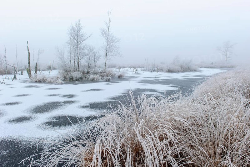 Winter with hoarfrost and snow in Goldenstedter Moor, Goldenstedt, Lower Saxony, Germany