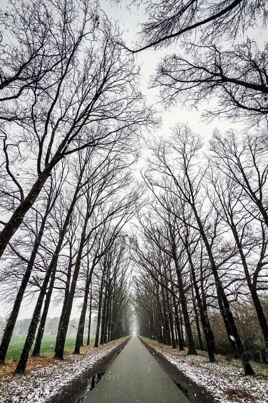 Winter trip with snow on an alley in Almelo, the Netherlands