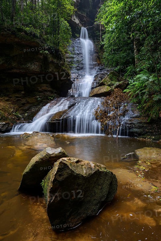 Empress waterfall in the cool-temperate rainforest of the Blue Mountains, New South Wales, Australia, New South Wales, Australia