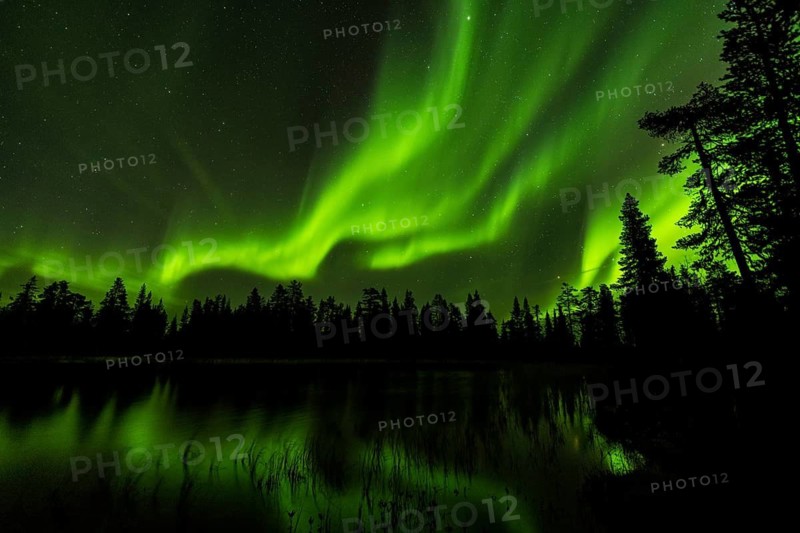 Northern Lights (Aurora borealis) reflected in a forest lake, Muddus National Park, Laponia World Heritage Site, Norrbotten, Lapland, Sweden, September 2020